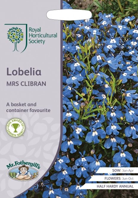 Hovedbilde Lobelia 'Mrs. Clibran - Kantlobelia