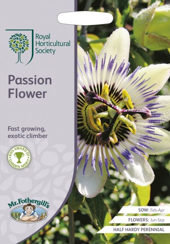 Pasjonsblomst - Passiflora caerulea