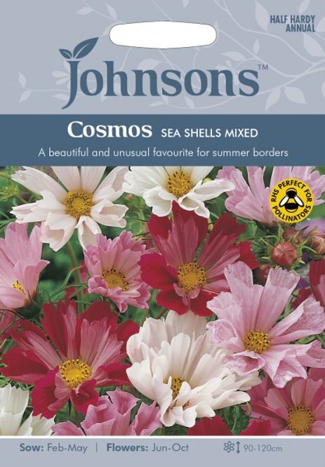 Hovedbilde Pyntekorg 'Sea Shells Mixed' - Cosmos bipinnatus