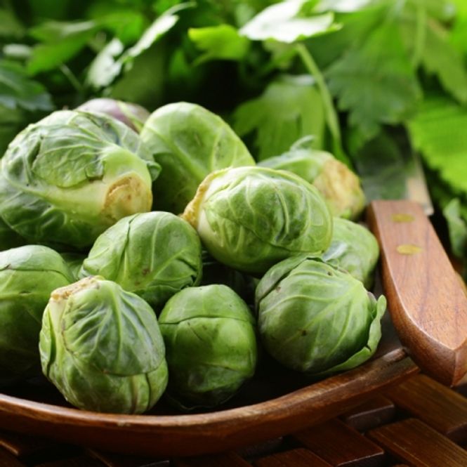 Hovedbilde Rosenkål 'Bosworth' F1 - Brassica oleracea 