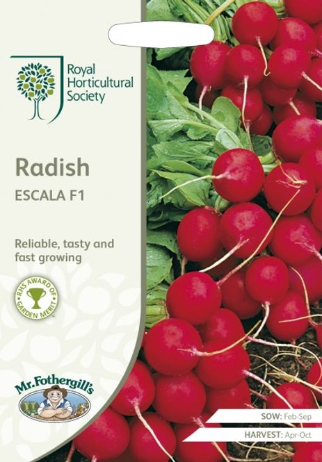 Hovedbilde Reddik 'Escala' F1 - Raphanus sativus
