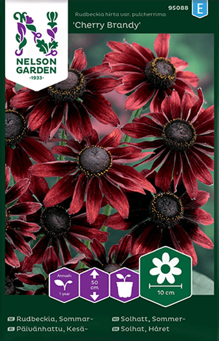 Hovedbilde Lodnesolhatt 'Cherry Brandy' - Rudbeckia hirta