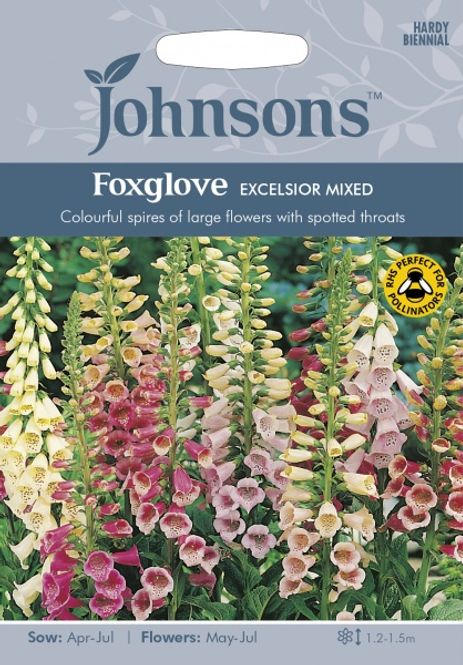 Hovedbilde Revebjelle 'Excelsior Mixed' - Digitalis purpurea