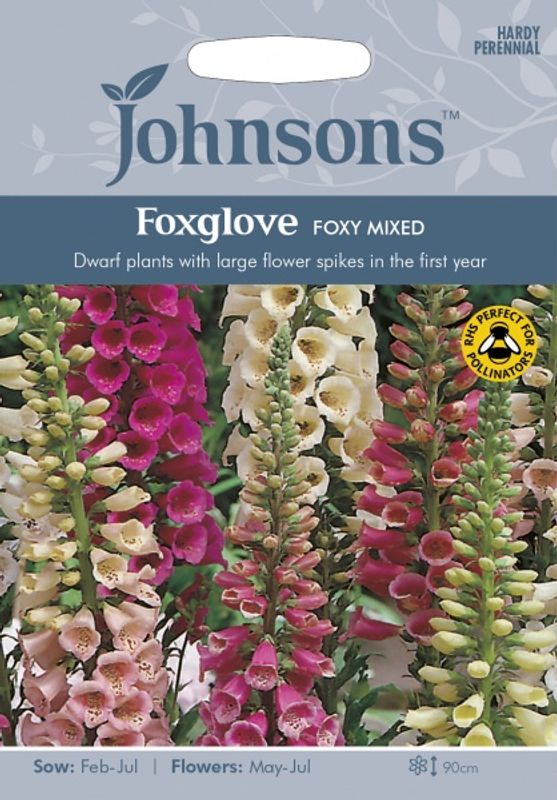 Revebjelle 'Foxy Mixed' - Digitalis purpurea