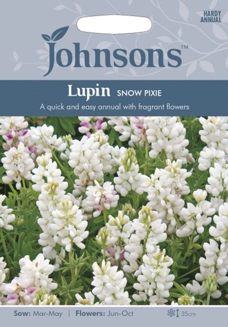 Hovedbilde Sommerlupin 'Snow Pixie' - Lupinus nanus