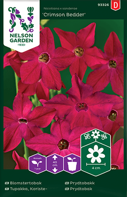 Hovedbilde Prydtobakk 'Crimson Bedder' - Nicotiana x sanderae