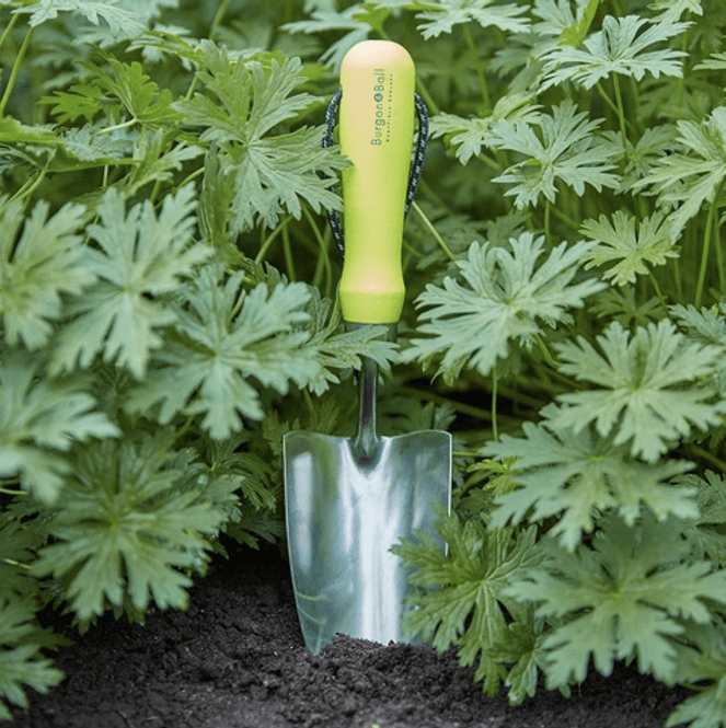 Hovedbilde Burgon & Ball - Håndspade - FloraBrite® gul