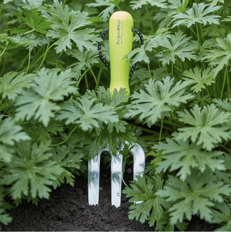 Burgon & Ball - Håndgreip FloraBrite® gul
