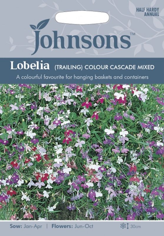 Lobelia 'Colour Cascade Mixed' - Hengelobelia