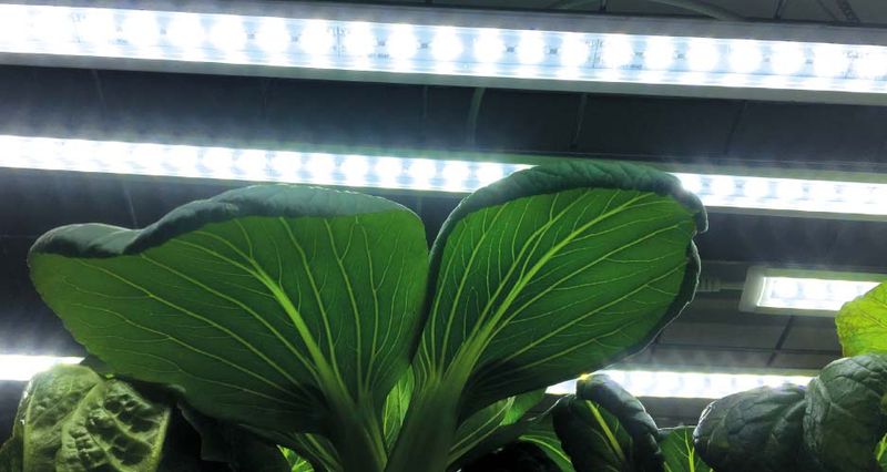 LED-lyslist No.1 startsett 85 cm, 23W