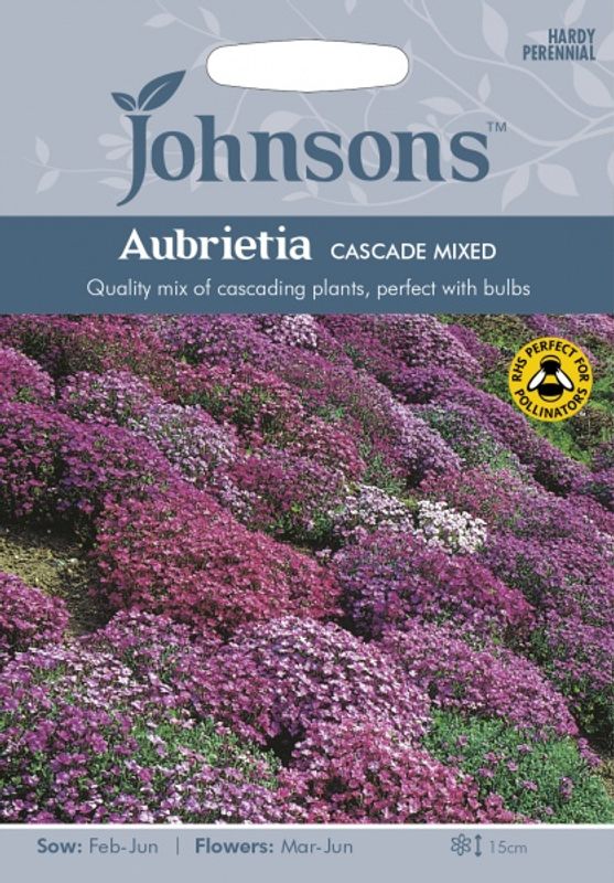 Blåpute 'Cascade Mix' - Aubrieta