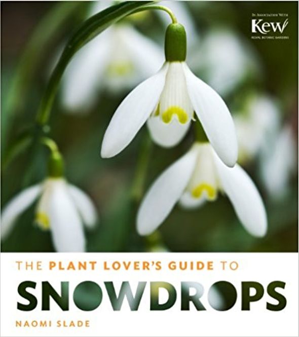 Hovedbilde The Plant Lovers Guide to Snowdrops - Naomi  Slade