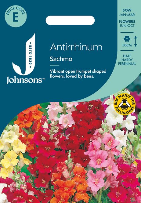 Hovedbilde Løvemunn 'Sachmo' - Antirrhinum majus
