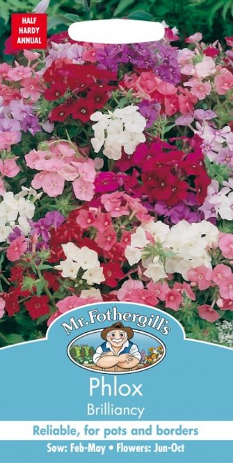 Hovedbilde Sommerfloks 'Brilliancy' - Phlox drummondii 