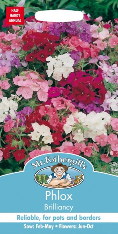 Sommerfloks 'Brilliancy' - Phlox drummondii 