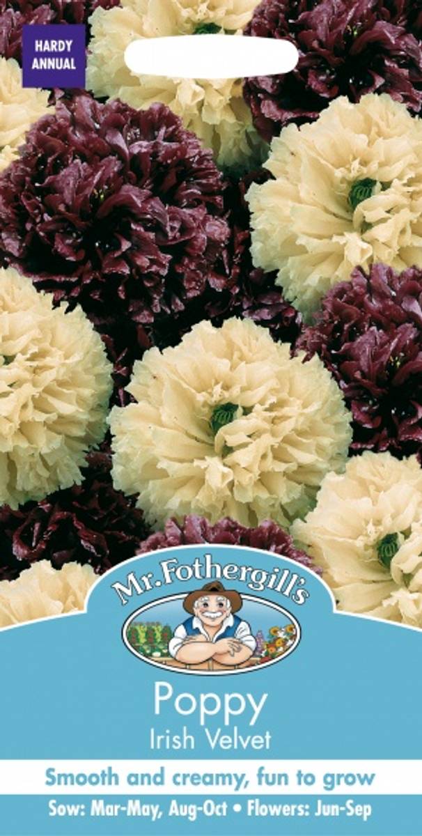 Pionvalmue Irish Velvet' - Papaver somniferum