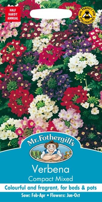 Hovedbilde Hageverbena 'Compact Mixed' - Verbena x hybrida 