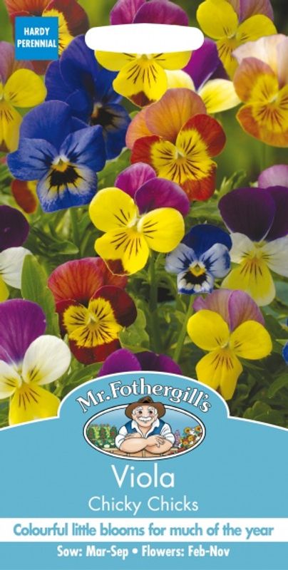Stemorsblomst 'Chicky Chicks' - Småblomstret
