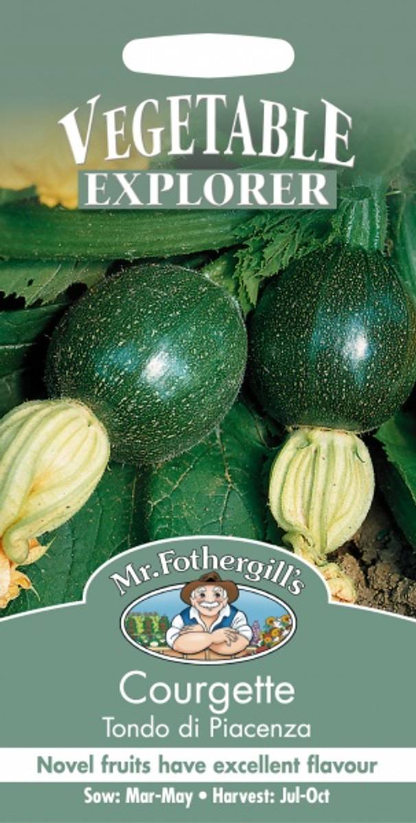 Squash 'Tondo di Piacenza' - Cucurbita pepo