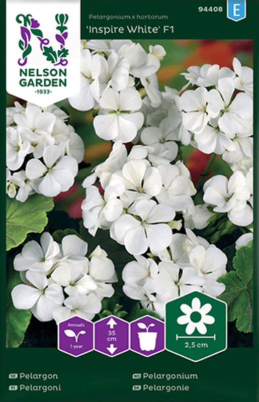 Pelargonium 'Inspire White' F1