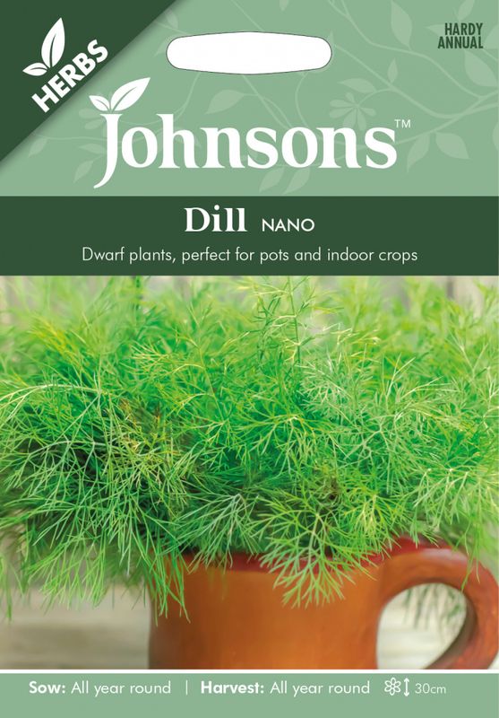 Dill 'Nano' - Anethum graveolens