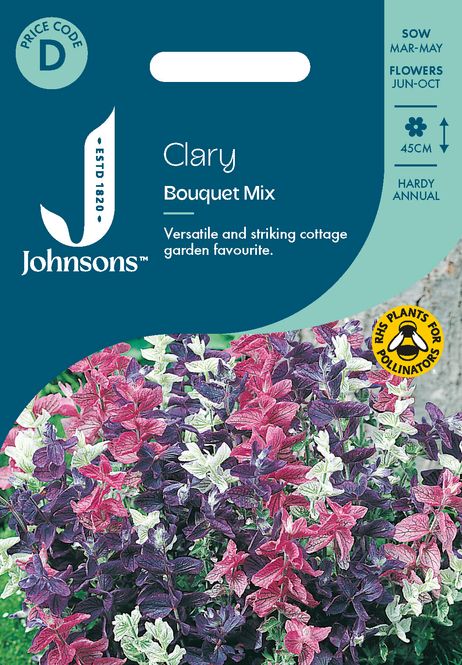 Hovedbilde Dusksalvie 'Bouquet Mixed' - Salvia viridis