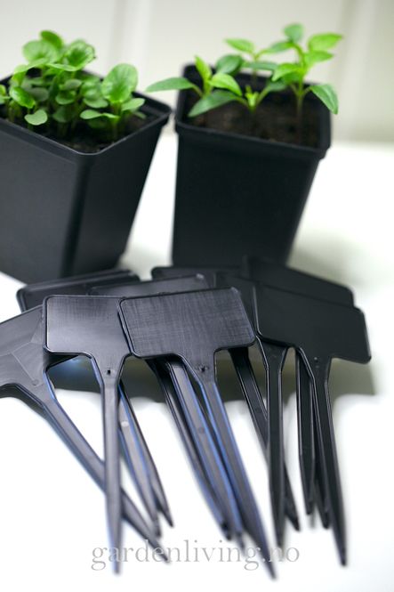 Hovedbilde Svarte plastetiketter 25 pk -  T-etiketter