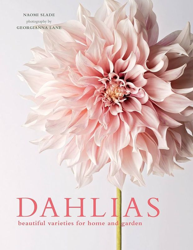 Dahlias - beautiful varieties for home and garden - Naomi Slade