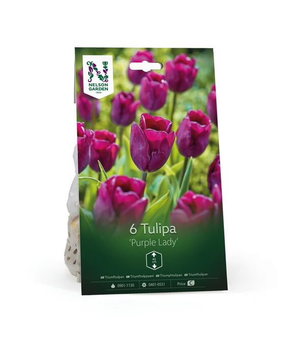 Hovedbilde Tulipan 'Purple Lady', Triumphtulipan - 6 stk