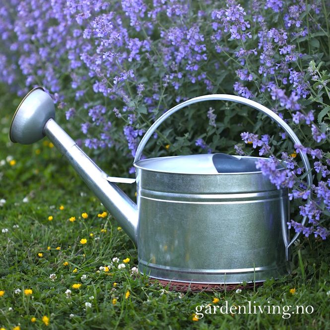 Hovedbilde Vannkanne sink, oval 10 liter