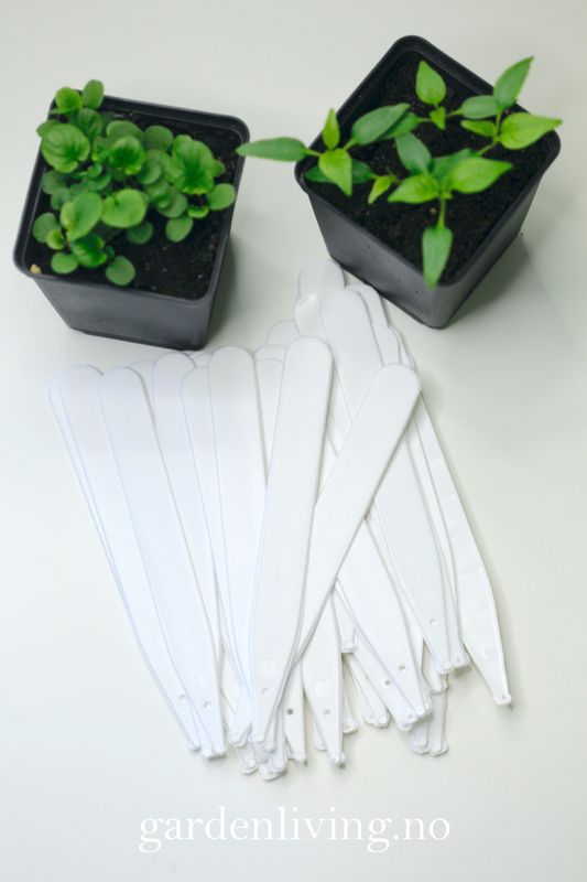 Etiketter 15 cm, hvit - 50 stk