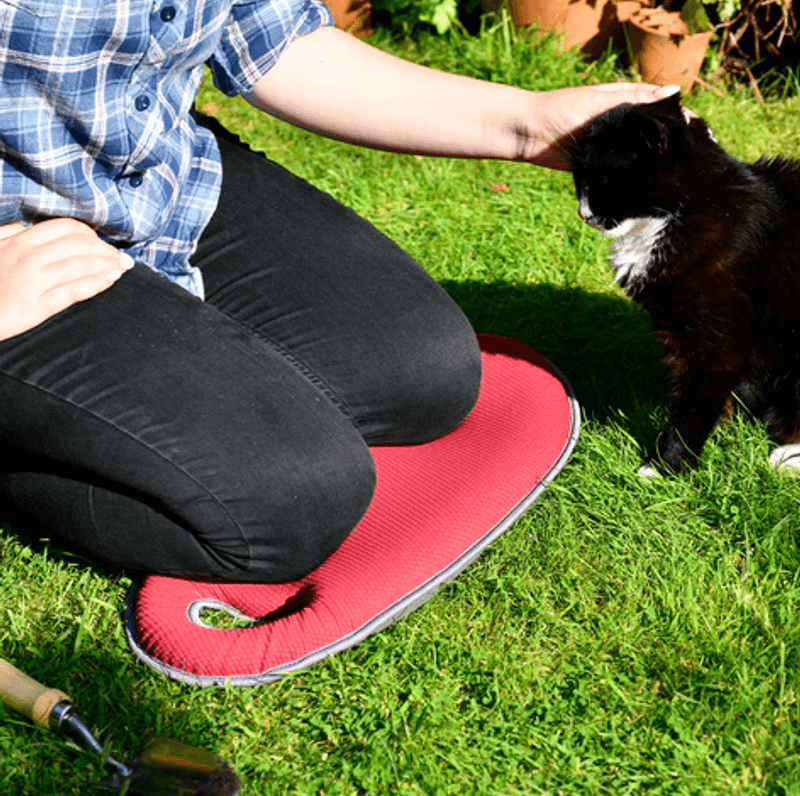 Knelepute, Kneelo® – Sangria