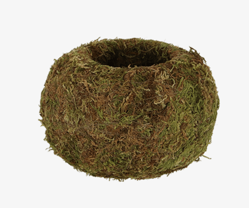 Kokedama - ball - M