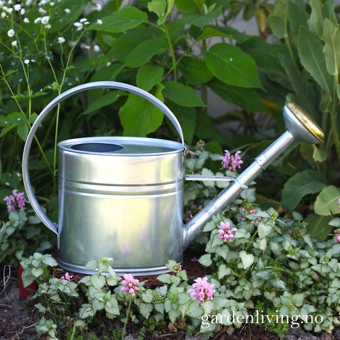 Hovedbilde Vannkanne sink, oval 4 liter