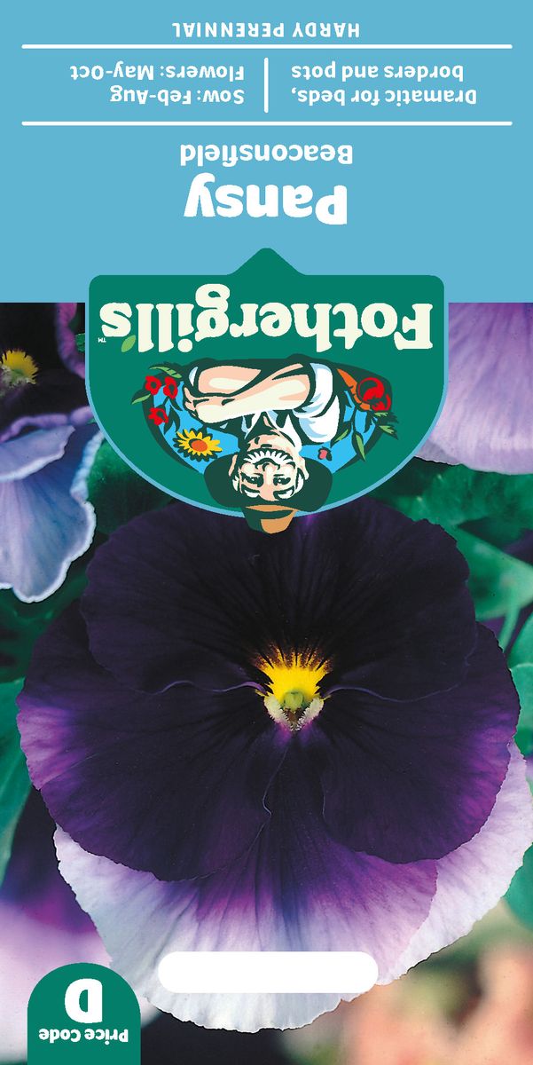 Stemorsblomst 'Beaconsfield' - Viola