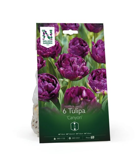 Hovedbilde Tulipan 'Canyon', sen dobbel - 6 stk