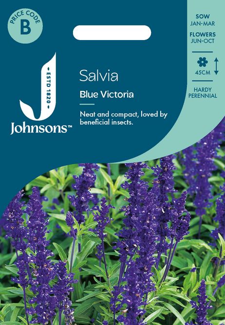 Hovedbilde Ullsalvie 'Blue Victoria' - Salvia farinacea