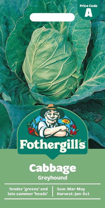 Hovedbilde Spisskål 'Greyhound' - Brassica oleracea Capitata