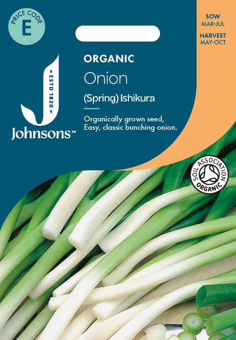 Hovedbilde Vårløk 'Ishikura' - Allium fistulosum, Organic