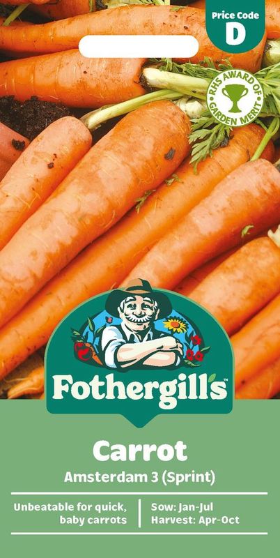 Gulrot 'Amsterdam 3' - Daucus carota