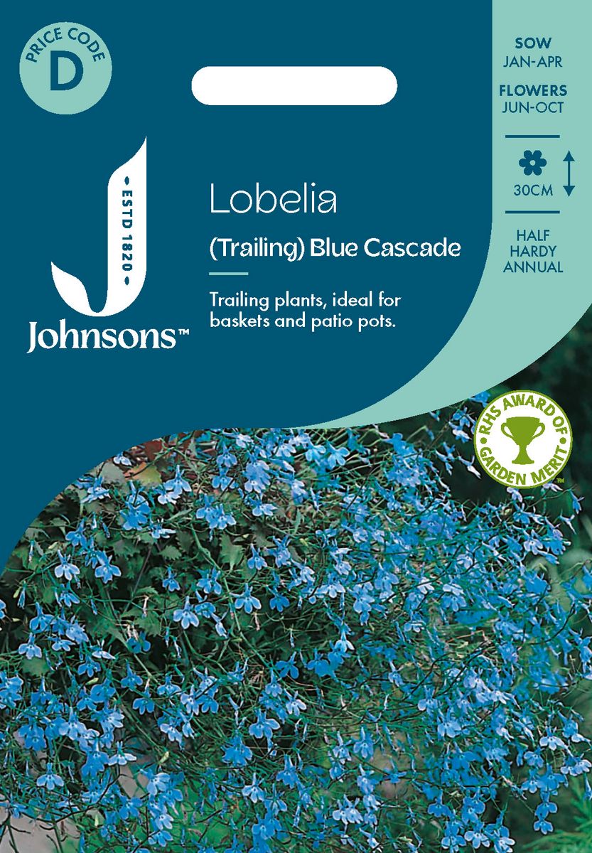 Lobelia 'Blue Cascade’ - Lobelia erinus, Hengelobelia