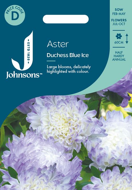 Hovedbilde Sommeraster 'Duchess Blue Ice' - Callistephus chinensis