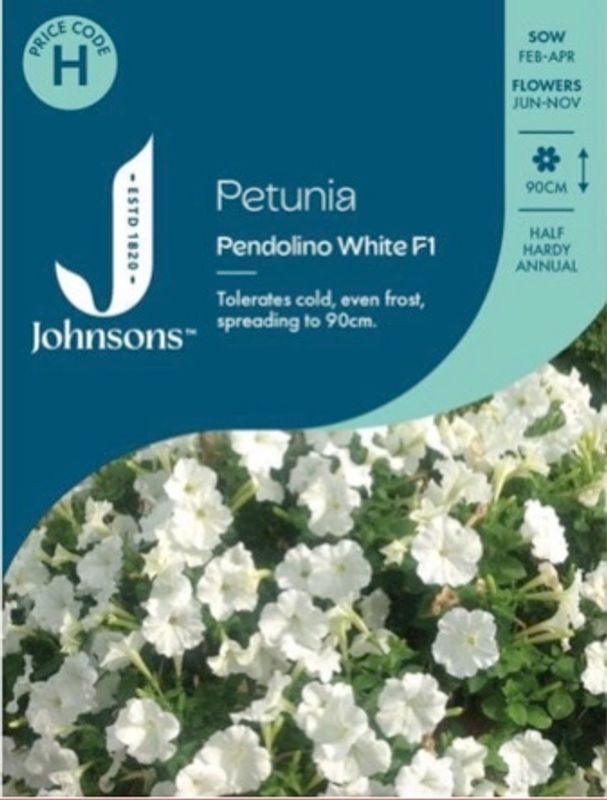 Petunia 'Pendolino White' F1- Petunia multiflora