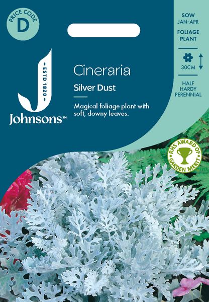 Hovedbilde Sølvkrans/Sølvblad ’Silverdust’ - Senecio ...