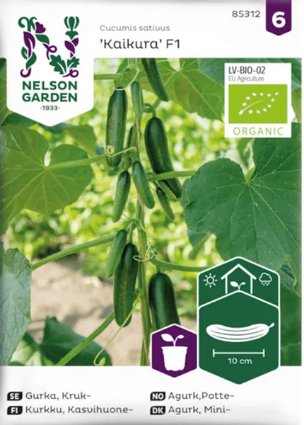 Hovedbilde Miniagurk 'Kaikura' F1, organic - Cucumis sativus