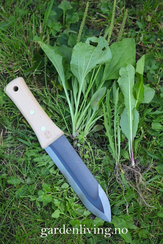 Niwaki, Hori Hori - hagekniv med slire