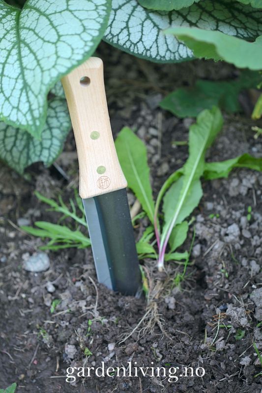 Niwaki, Hori Hori - hagekniv med slire