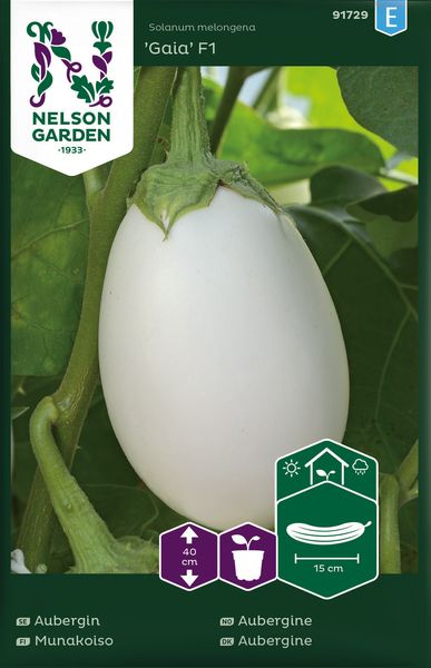 Hovedbilde Aubergine 'Gaia' F1 - Solanum melongena