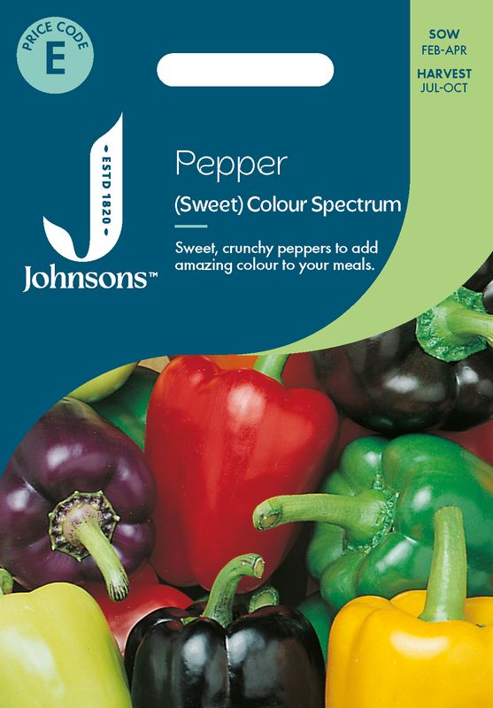 Paprika 'Colour Spectrum' - Capsicum annuum