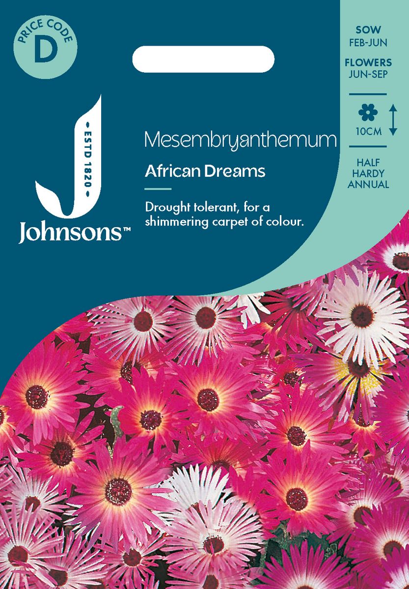Middagsblomst 'African Dream' - Mesembryanthemum